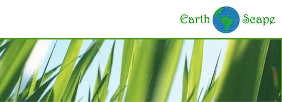 Earth Scapes Commercial Lawn Care Pensacola Florida