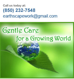 Pensacola Commercial Lawn Care Services